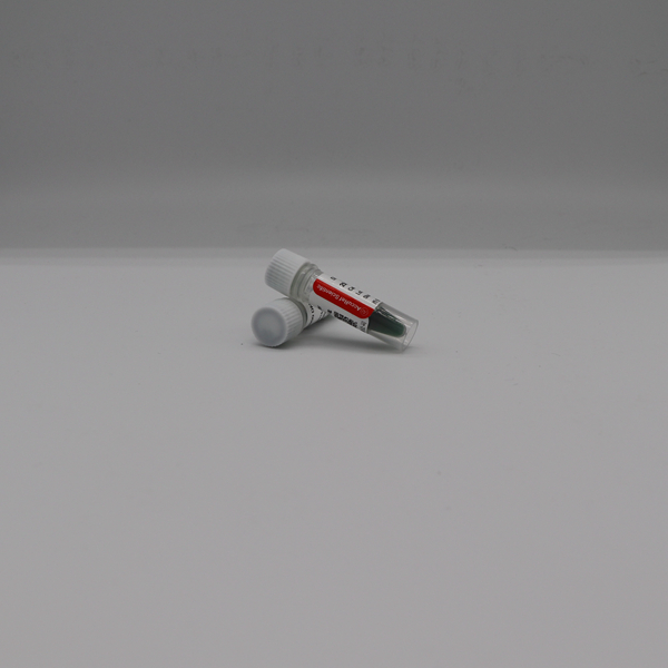 2×Taq MasterMix（Dye）